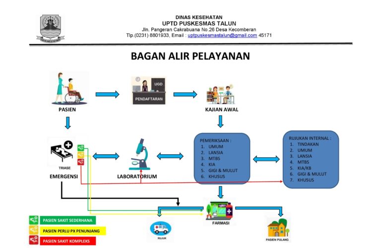 BAGAN ALIR PELAYANAN